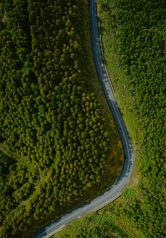 luchtfoto van weg in natuurgebied